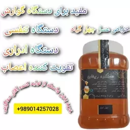 عسل خار مریم عمده 26 کیلویی ساکارز 1.1 