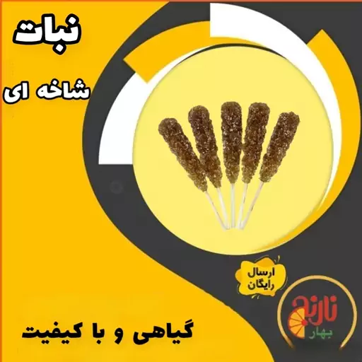 نبات نی دار قهوه ای نیشکر خوزستان ارگانیک غرفه بهار نارنج  مشهد