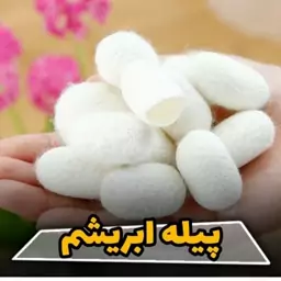 پیله ابریشم 20 عددی پاکسازی آبرسان سفید کننده لایه بردار رفع چین و چروک ضد لک ضد جوش پوست 