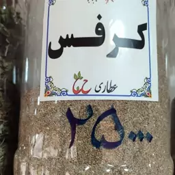 بذر کرفس 75 گرمی