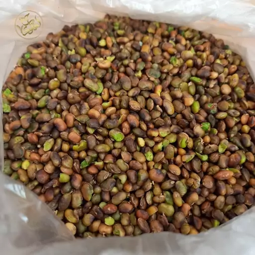 مغز بنه (بَنِه) یا بنک یا پسته کوهی (250 گرم) 