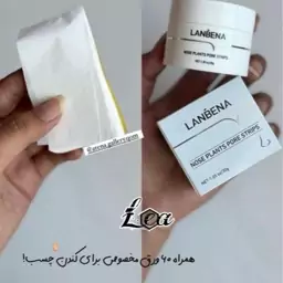 چسب بینی کاسه ای لانبنا