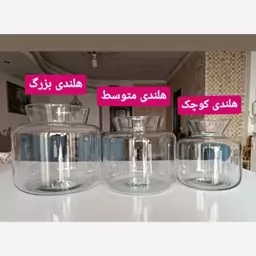 گلدان تراریوم شیشه ای طرح هلندی 