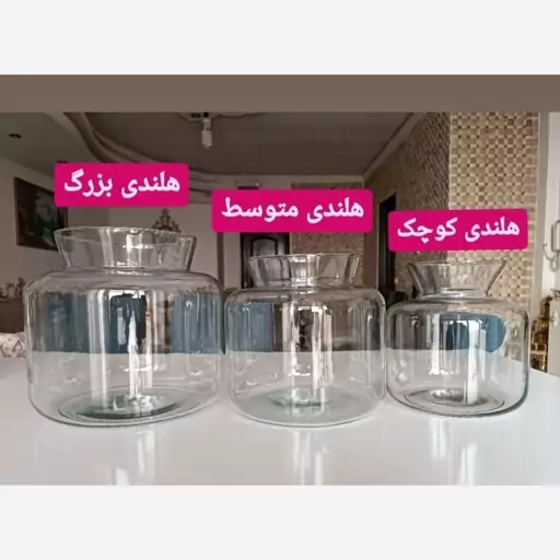 گلدان تراریوم شیشه ای طرح هلندی 