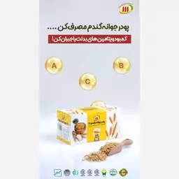 پودر جوانه گندم ساشه ای