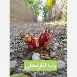 رب انار خانگی