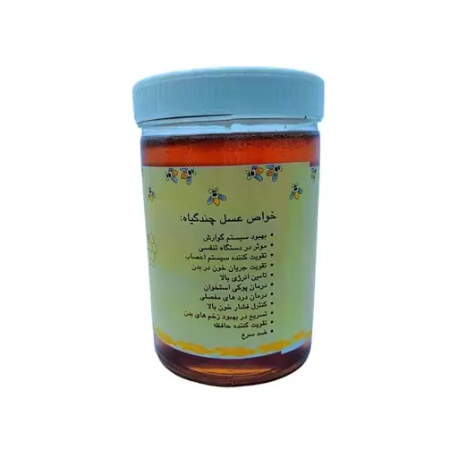 عسل چندگیاه - 910 گرم (ارسال رایگان)