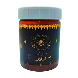 عسل کنار - 460 گرم (ارسال رایگان)