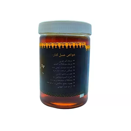 عسل کنار - 910 گرم (ارسال رایگان)