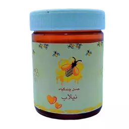 عسل چندگیاه - 460 گرم (ارسال رایگان)