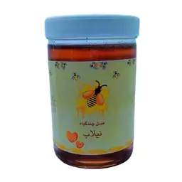 عسل چندگیاه - 910 گرم (ارسال رایگان)