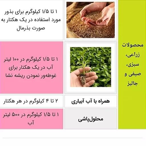 کود بیولوژیک PGPR سبز کاشان 1 کیلوگرمی