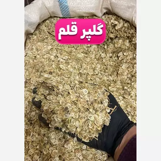 گلپر مرغوب آل عبا