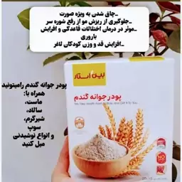 پودر جوانه گندم