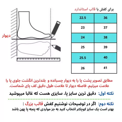 کفش زنانه چرم طبیعی مدل سلدا V