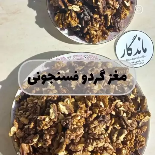 مغز فسنجونی