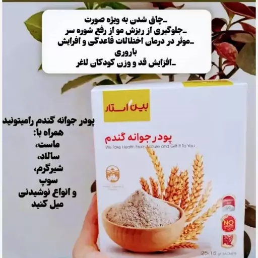 پودر جوانه گندم 