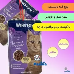 پوچ گربه وینستون آلمان