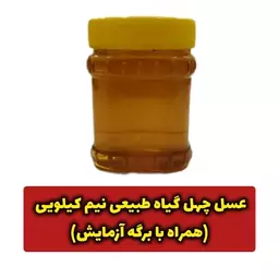 عسل چهل گیاه طبیعی نیم کیلویی (همراه با برگه آزمایش) (پس کرایه)