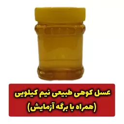 عسل کوهی طبیعی نیم کیلویی (همراه با برگه آزمایش) (پس کرایه)