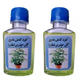 کود کامل مایع مخصوص گیاه چتری شفلرا مدل GL2 حجم 240 میلی لیتر بسته دو عددی