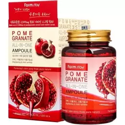 ژل ضد چروک فارم استی مدل Pomegranate All-in-one Intensive Moist حجم 250 میلی لیتر