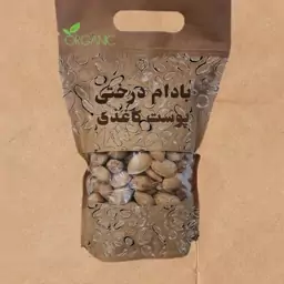 بادام پوست کاغذی ارگانیک لرستان عمده