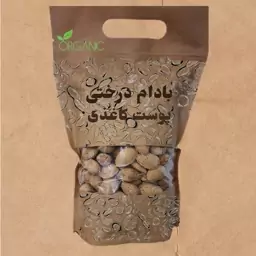 بادام پوست کاغذی ارگانیک لرستان