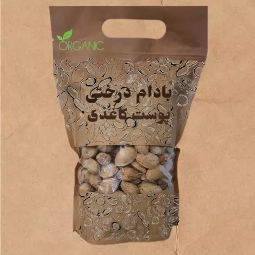 بادام پوست کاغذی ارگانیک لرستان