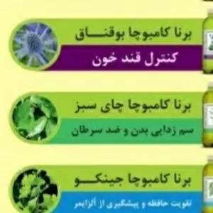  تخفیف ویژه نوشیدنی  تخمیری چای سبز کامبوچا