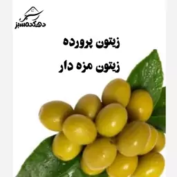 زیتون پرورده (120 گرم گردو)