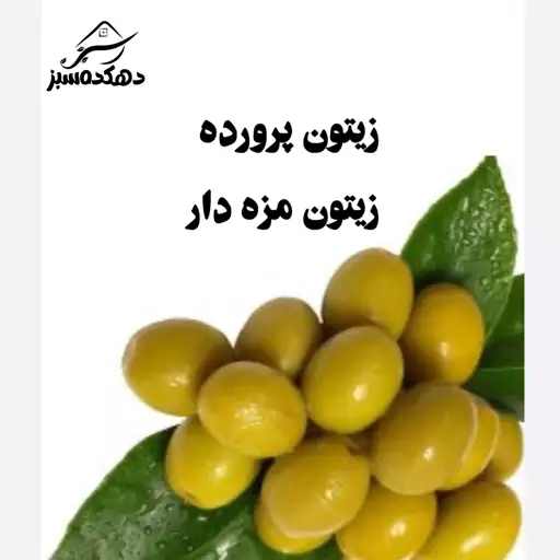 زیتون پرورده (120 گرم گردو)