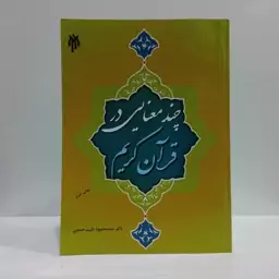 چند معنایی در قرآن کریم نویسنده سید محمود طیب حسینی 