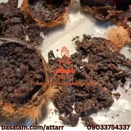 مشک اهو مشک آهو مسک الغزال طبیعی مسک غزال اصلی (12گرم)