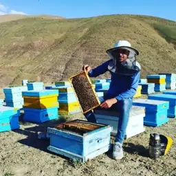 عسل چهل گیاه سبلان یک کیلویی( شهد)