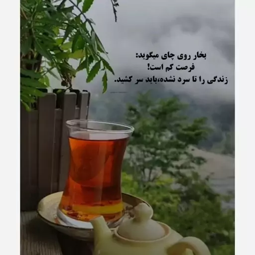 چای ممتاز سرگل با بهار نارنج