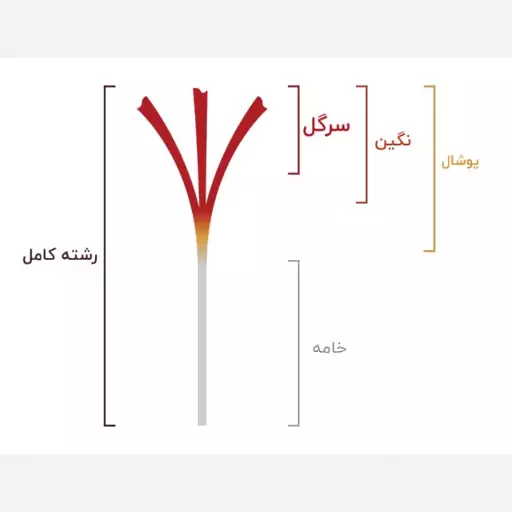 زعفران نگین صادراتی یک گرمی