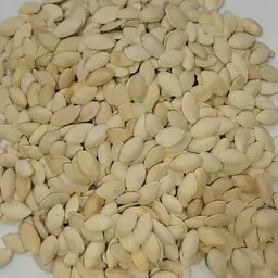 تخمه کدو گوشتی برشته سنتی یاقوت سبز (1000گرمی)