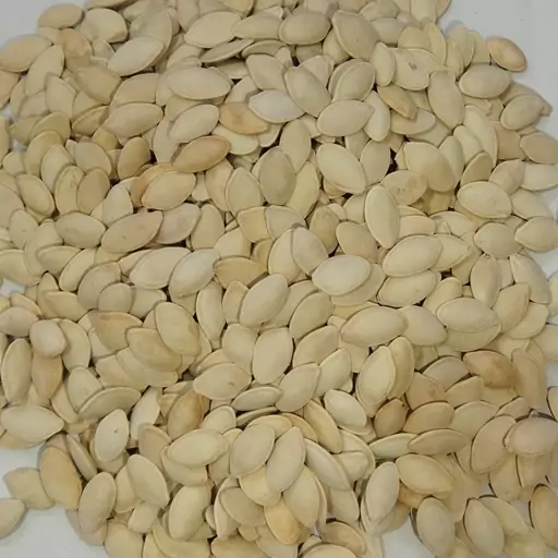 تخمه کدو گوشتی برشته سنتی یاقوت سبز (1000گرمی)