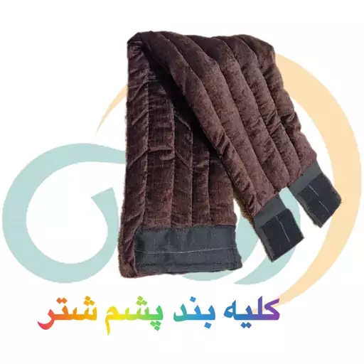 کلیه بند پشم شتر سایز کوچک (برای افراد تا وزن 85 کیلو ) پس کرایه 