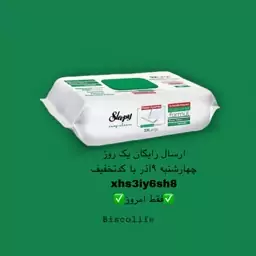 دستمال مرطوب همه کاره نظافتی اسلیپی 100عددی خرده و عمده