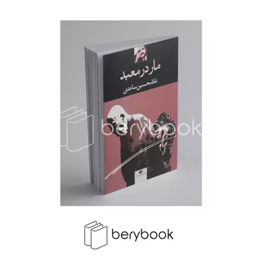 کتاب مار در معبد / نشر نگاه