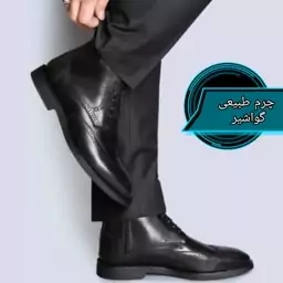 بوت مردانه چرم طبیعی گاوی چرم گواشیرطرح هشترک 