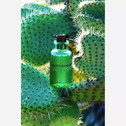 عطر ادکلن لویی ویتون کاکتوس گاردن تستر اورجینال louis vuitton cactus garden