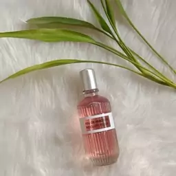 ادکلن EAU de madame حجم 100میل (ارسال رایگان)