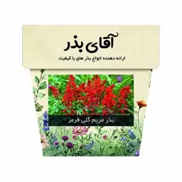 بذر گل سلوی قرمز آقای بذر- 100 عدد