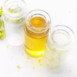 روغن نعناع (روغن نعناء) (Mint oil) -سایز1 لیتری