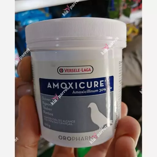 آموکسی کیور AMOXICURE ورسلاگا-10 گرمی