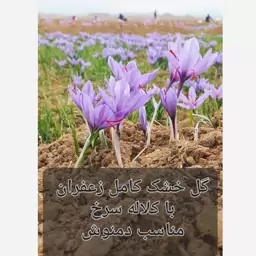 گل خشک زعفران ( با کلاله سرخ ) 10 گرمی