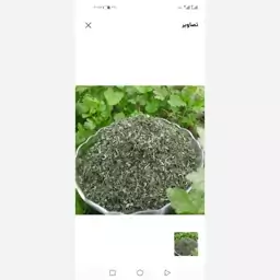 سبزی قرمه خشک 500 گرمی